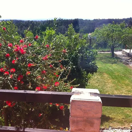 Casa Do Ti Jacinto Holiday home